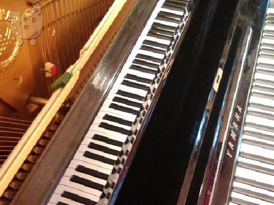 Yamaha U3H - Θεσσαλονίκη / Πεύκα